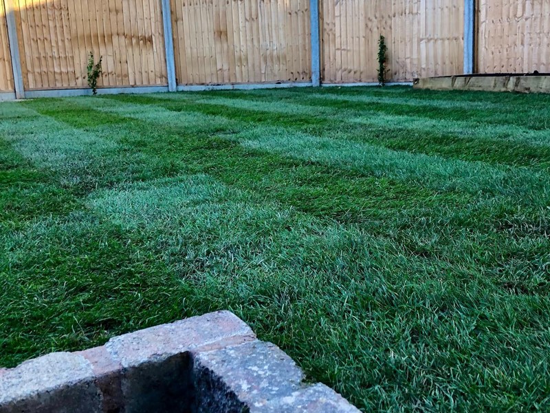 Lawns in Oakham